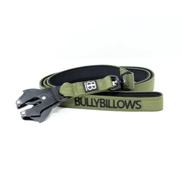 Swivel Combat Dog Lead - Khaki