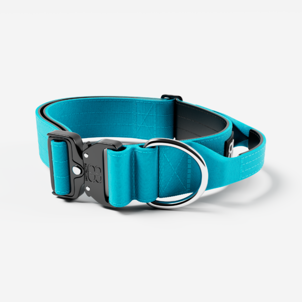 Bully Billows 5cm Combat Collar Light Blue