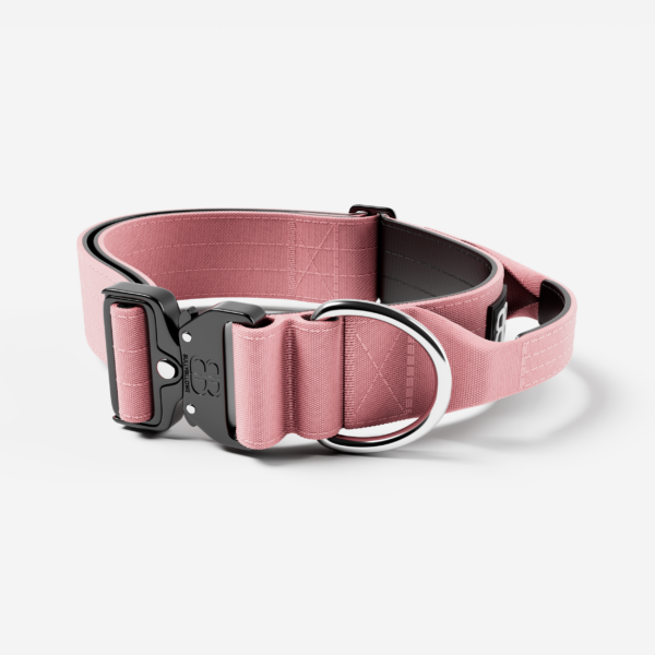 Bully Billows 5cm Combat Collar Pink