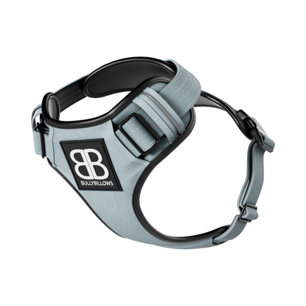 Bully Billows Premium Harness Metal Grey