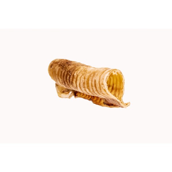 Beef Trachea