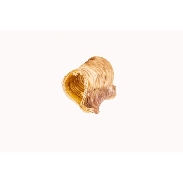 CATDOG Beef Trachea 12-15cm - Image 3