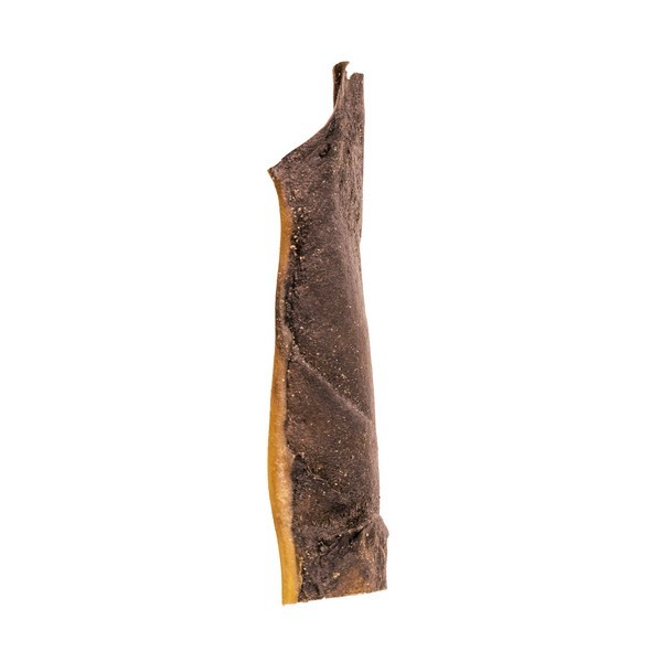 Camel Skin