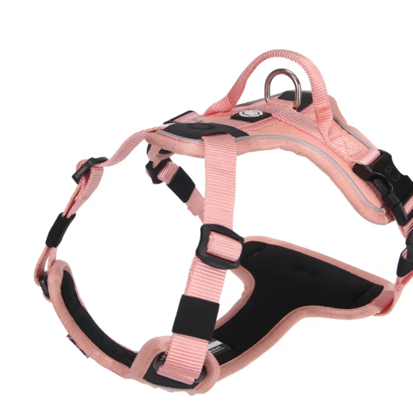 BullyBillows Hurricane Harness Pink from Catdog Store