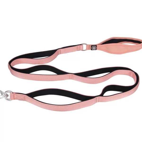 Bullybillows Ladder Lead Pink from Catdog Store
