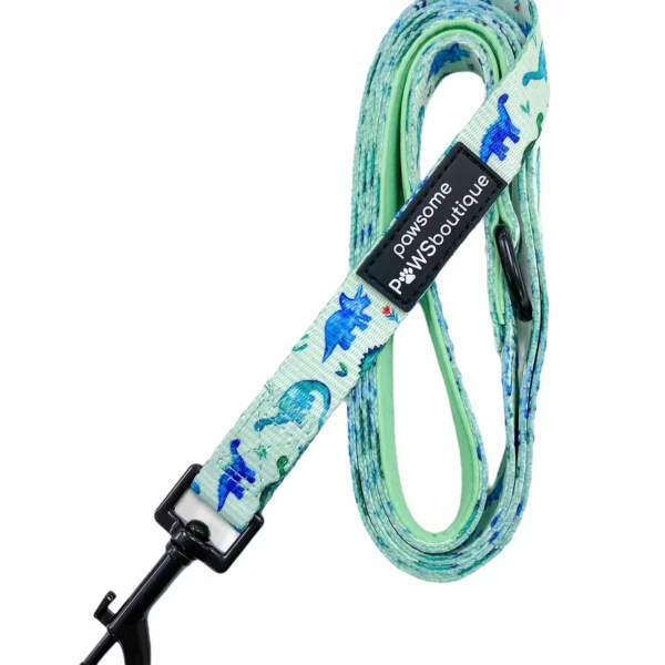 Pawsome Paws Boutique Dinky Dino Lead from Catdog Store