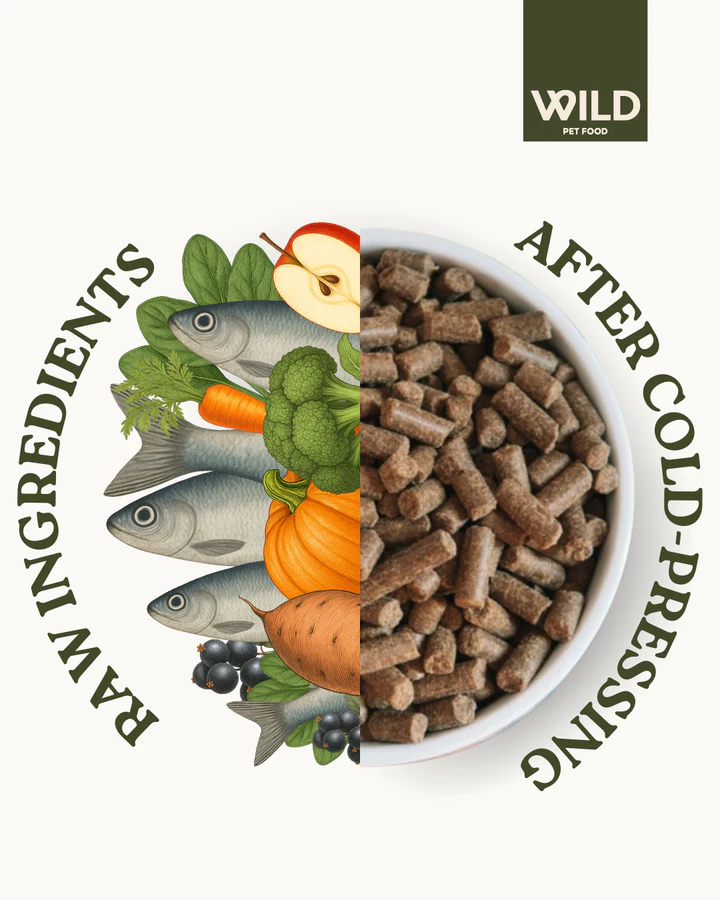 WILD Herring - 80:20 Omega+ Cold-Pressed 2.5kg - Image 3